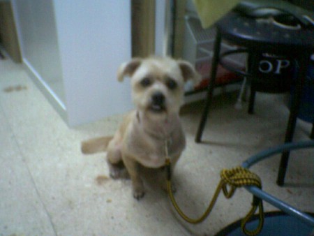 LISTO PARA ENTREGAR!