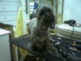 /album/chopy/foto0059-jpg/