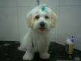 /album/fotogaleria-mis-clientes-/a416879-3460559199220-1187930071-n-jpg/