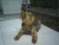 /album/fotogaleria-mis-clientes-/foto0009-jpg1/