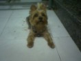 /album/fotogaleria-mis-clientes-/i-jpg1/