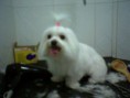 /album/fotogaleria-mis-clientes-/a249543-4754719312414-969280788-n-jpg/